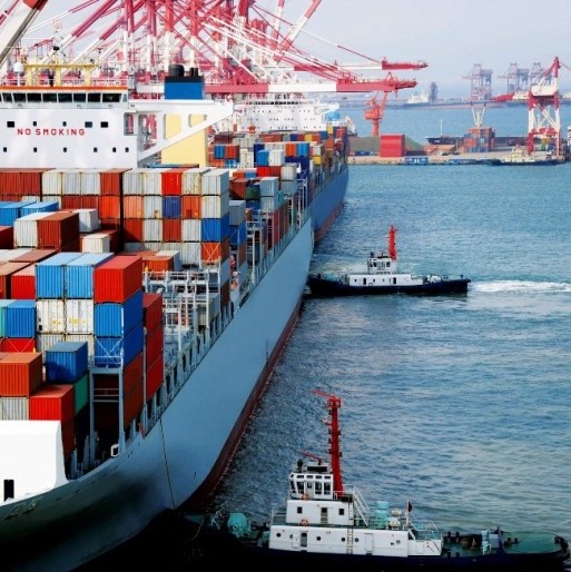 USDA Export Inspections: Giao hàng ngô, đậu tương và lúa mỳ đồng loạt tăng