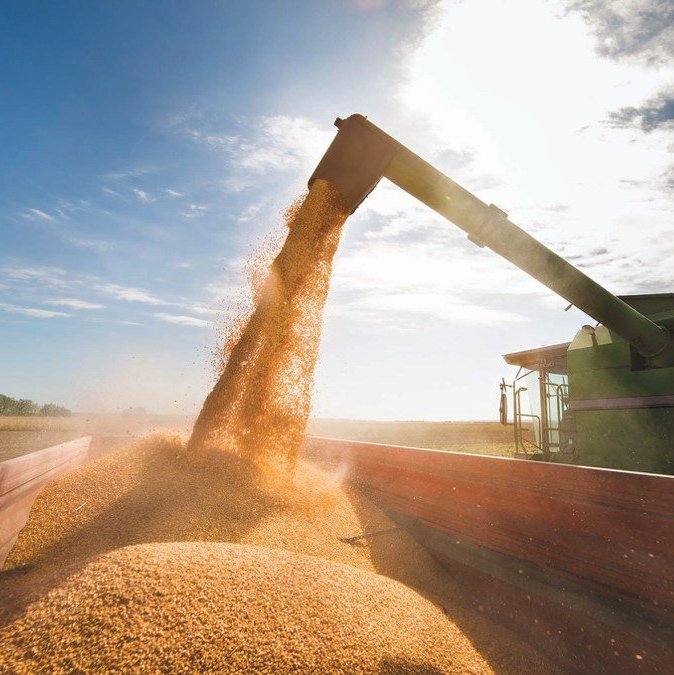 USDA Crop Progress: Tiến độ thu hoạch đậu tương tăng 18% lên mức 38%