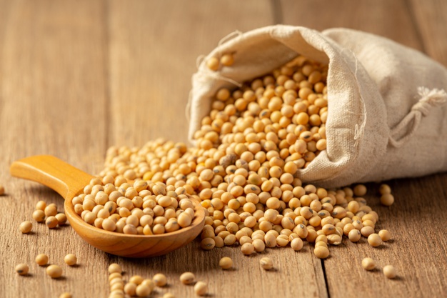 USDA Export Inspections: Giao hàng ngô giảm, đậu tương và lúa mỳ tăng